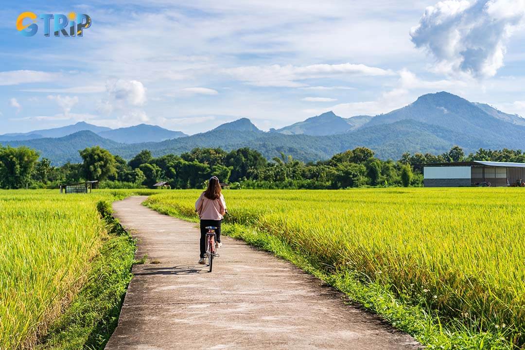 The girl riding the bicycle in Ninh Binh