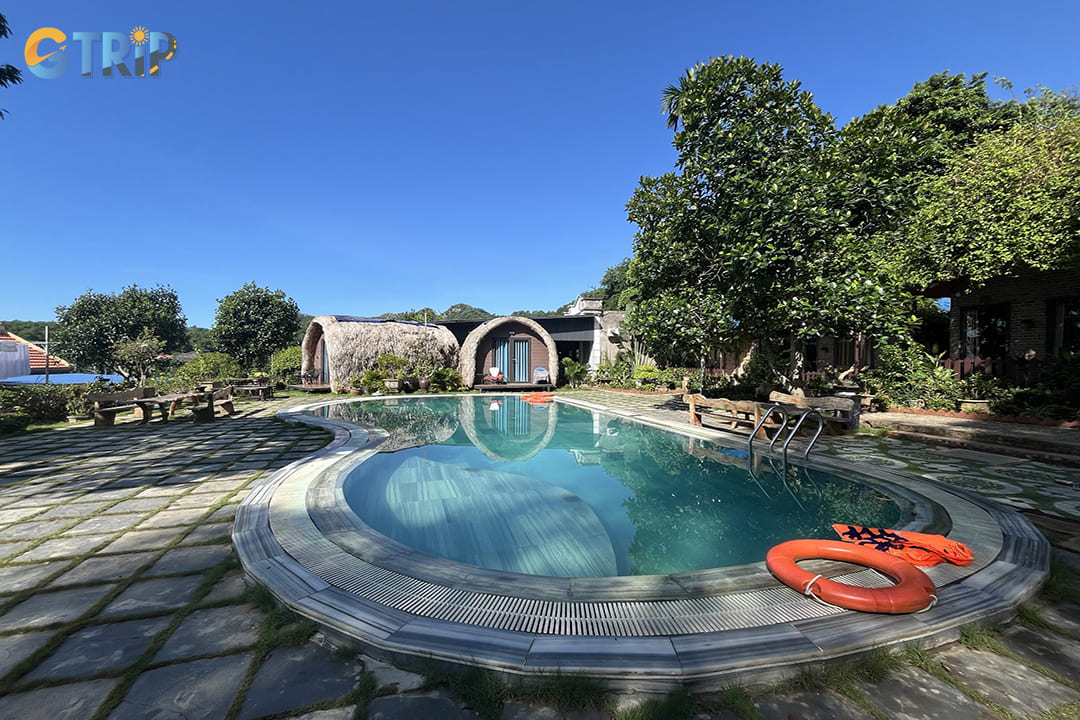 The green view of Green Homestay with a pool, lots of trees and flower