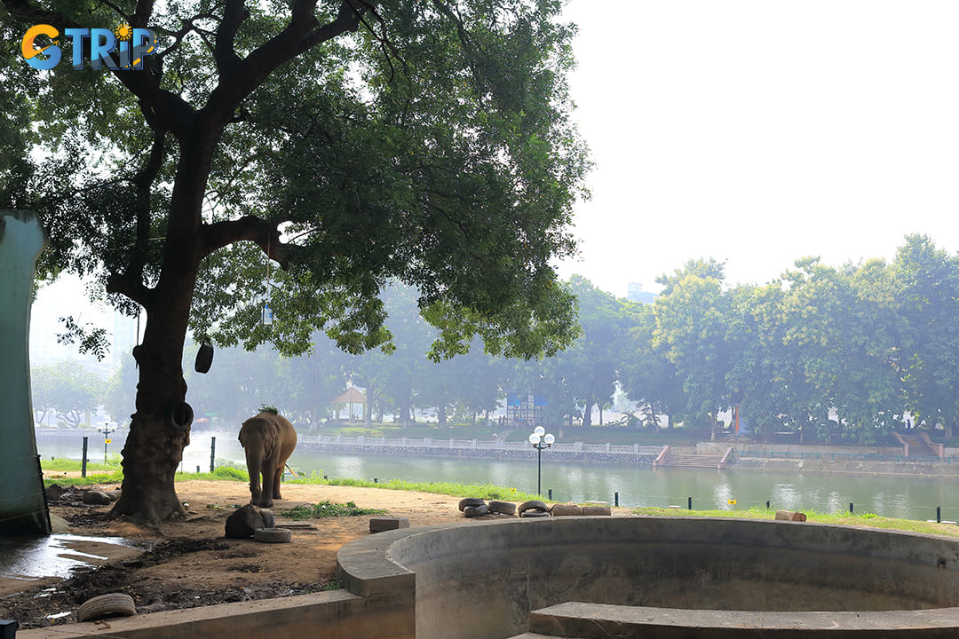The history of Thu Le Park is as rich and fascinating as the wildlife it houses