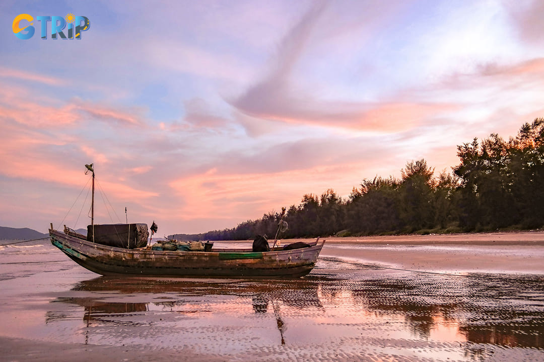 iconic fishing boats moored along the shore of the beach