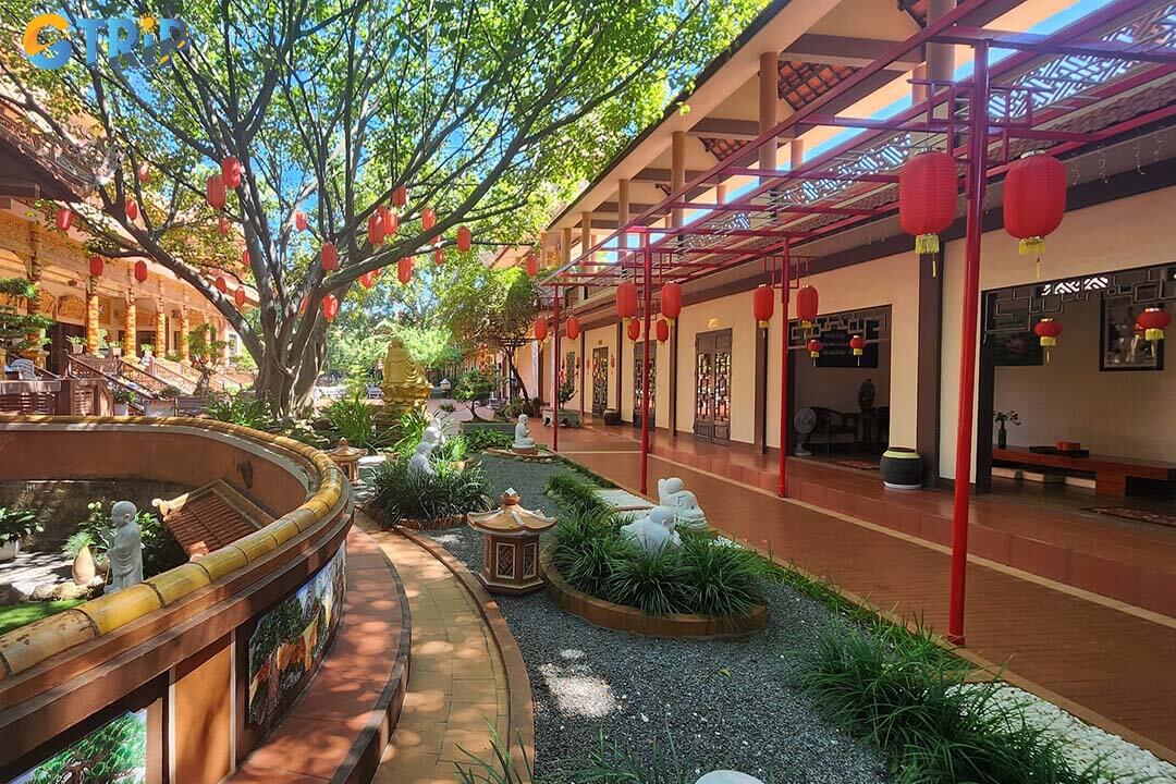 The iconic lantern trees at Nam Son Pagoda glow beautifully at night, creating a fairytale-like scene and one of the most photogenic highlights in Da Nang