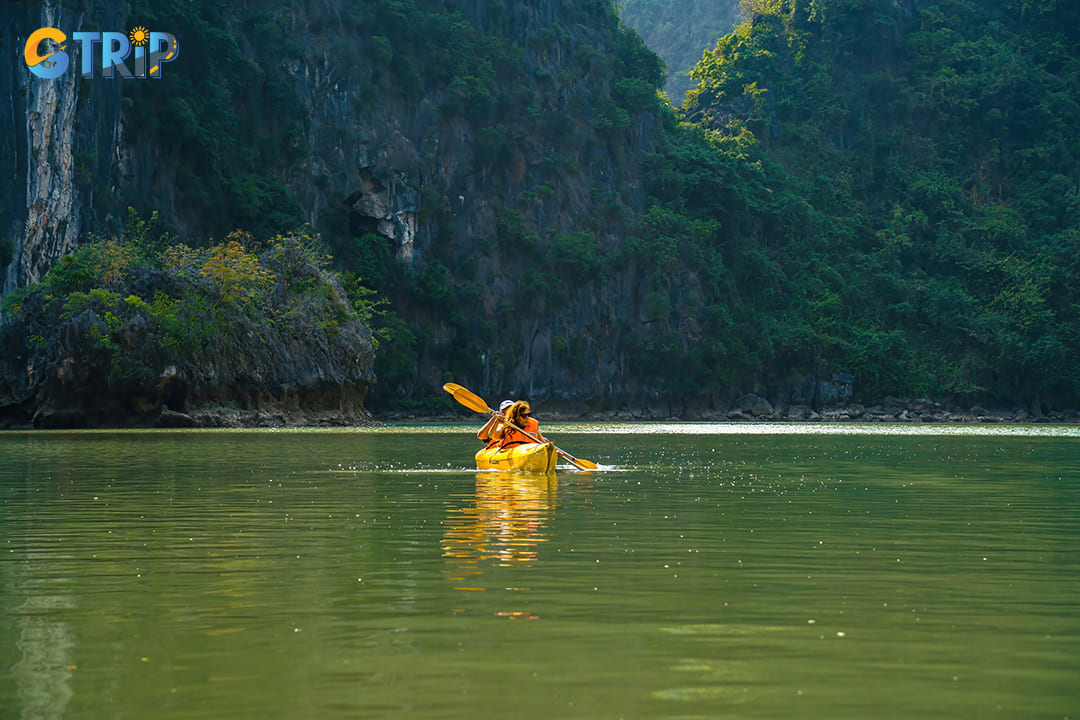 The ideal time to visit and paddle through the bay is during Spring and Autumn