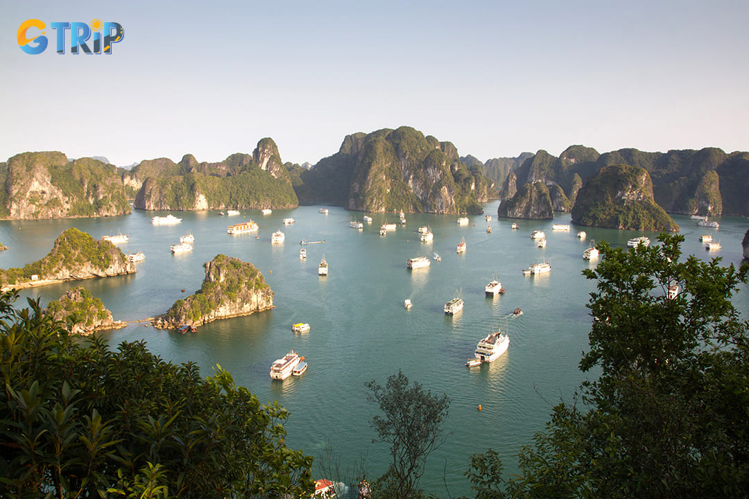 The island's elevated viewpoints offer unparalleled vistas of Ha Long Bay’s iconic seascape