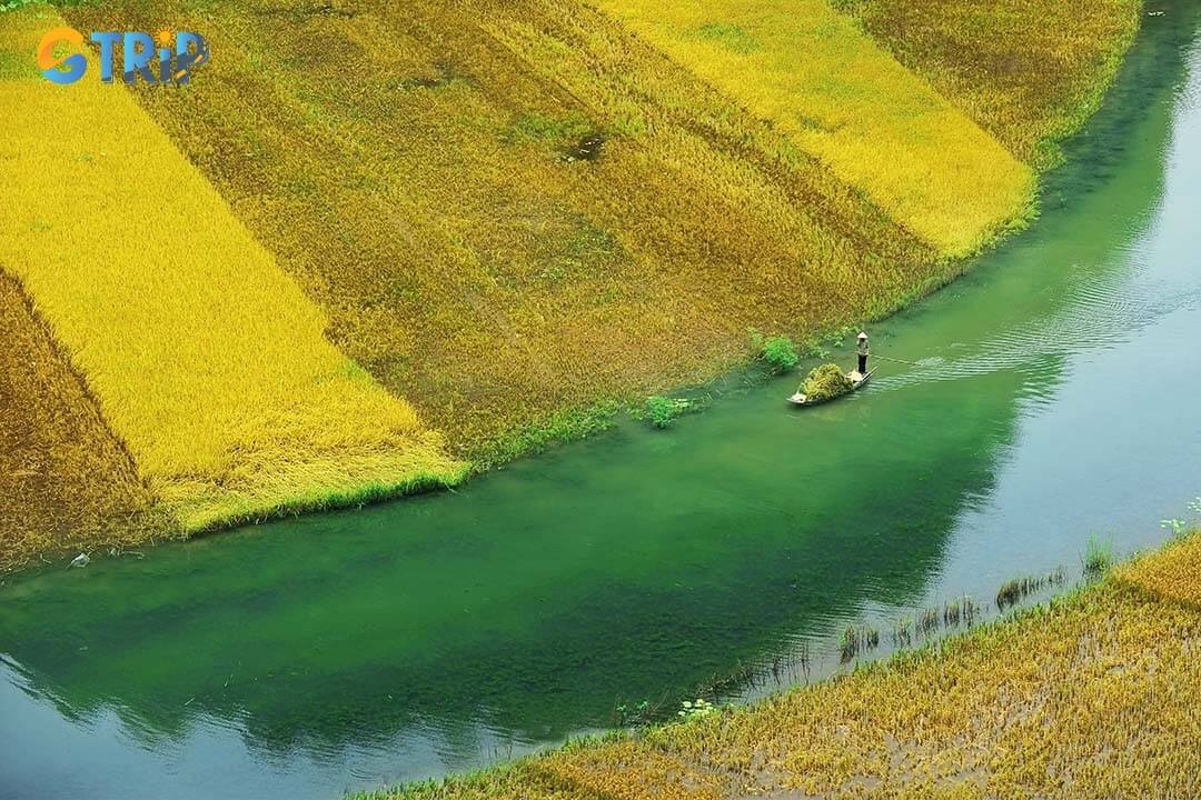 The journey from Ninh Binh to Ha Long Bay combines natural beauty and cultural richness, offering travelers a variety of transportation options suited to different budgets