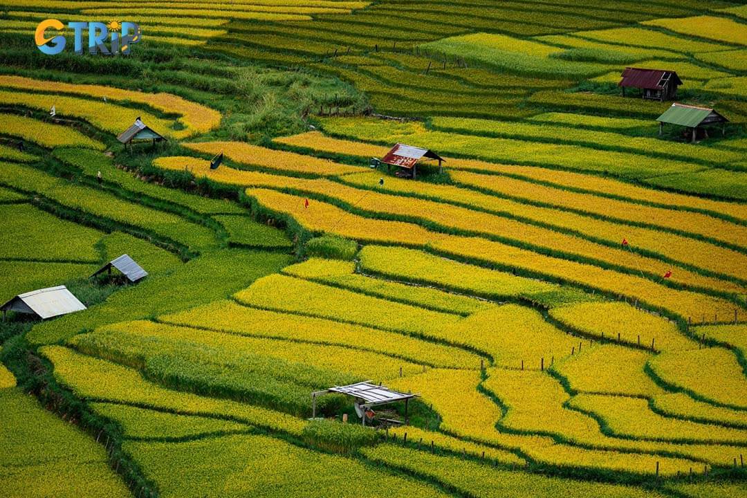 The Kon Tu Rang Rice Terrace features breathtaking landscapes and offers an immersive experience in local farming traditions
