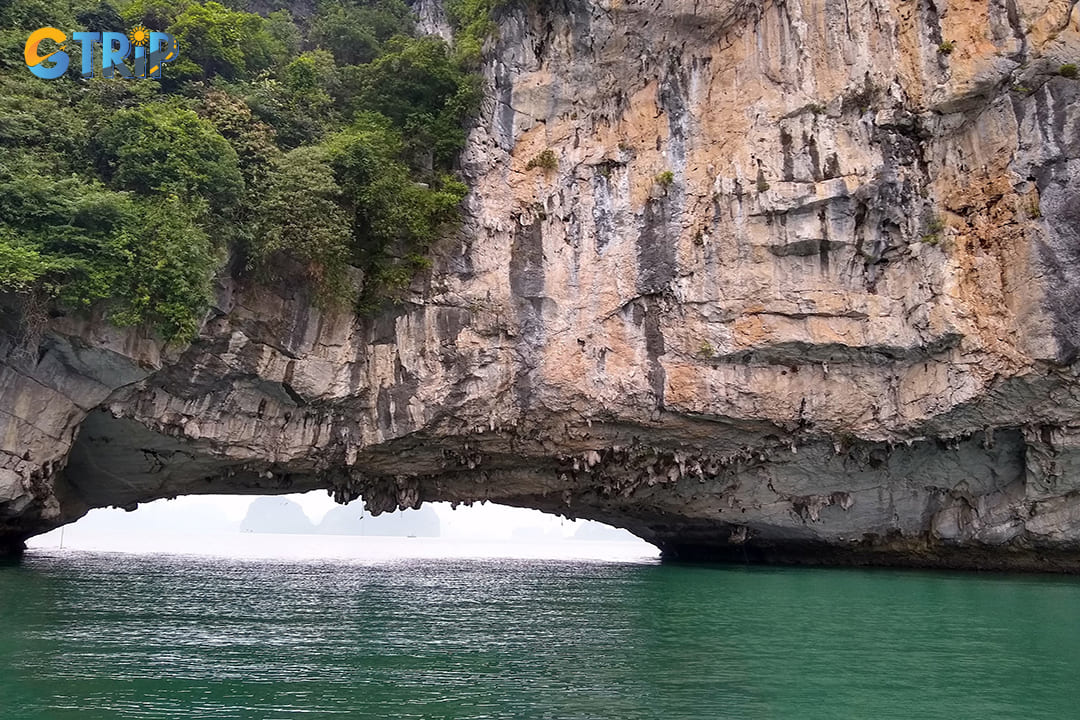 The limestone karst ecosystem in Bai Tu Long features rocky terrains