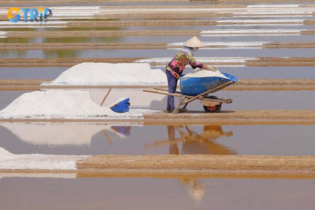 The Long Son salt fields are a breathtaking mosaic of shimmering white crystals, best seen at sunrise or sunset, where visitors can watch local farmers harvest salt