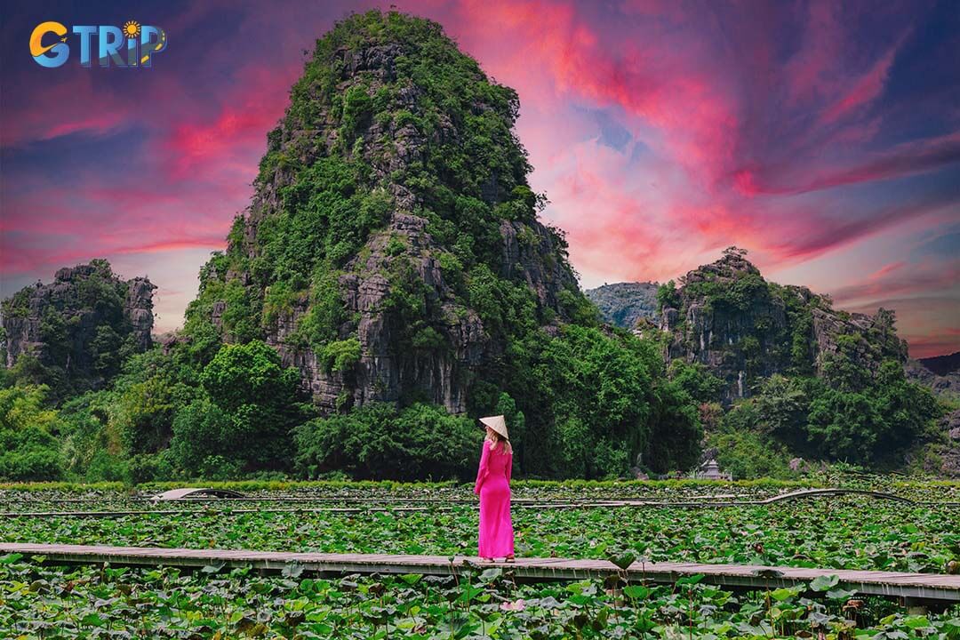 The lotus pond at Ngoa Long Mountain is a stunning photography destination