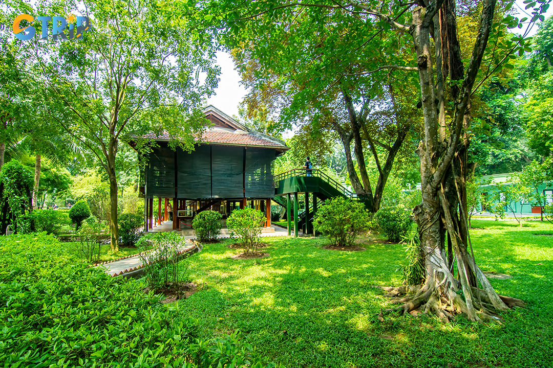 The small fish pond situated near the stilt house represents another fascinating aspect of Ho Chi Minh's daily life
