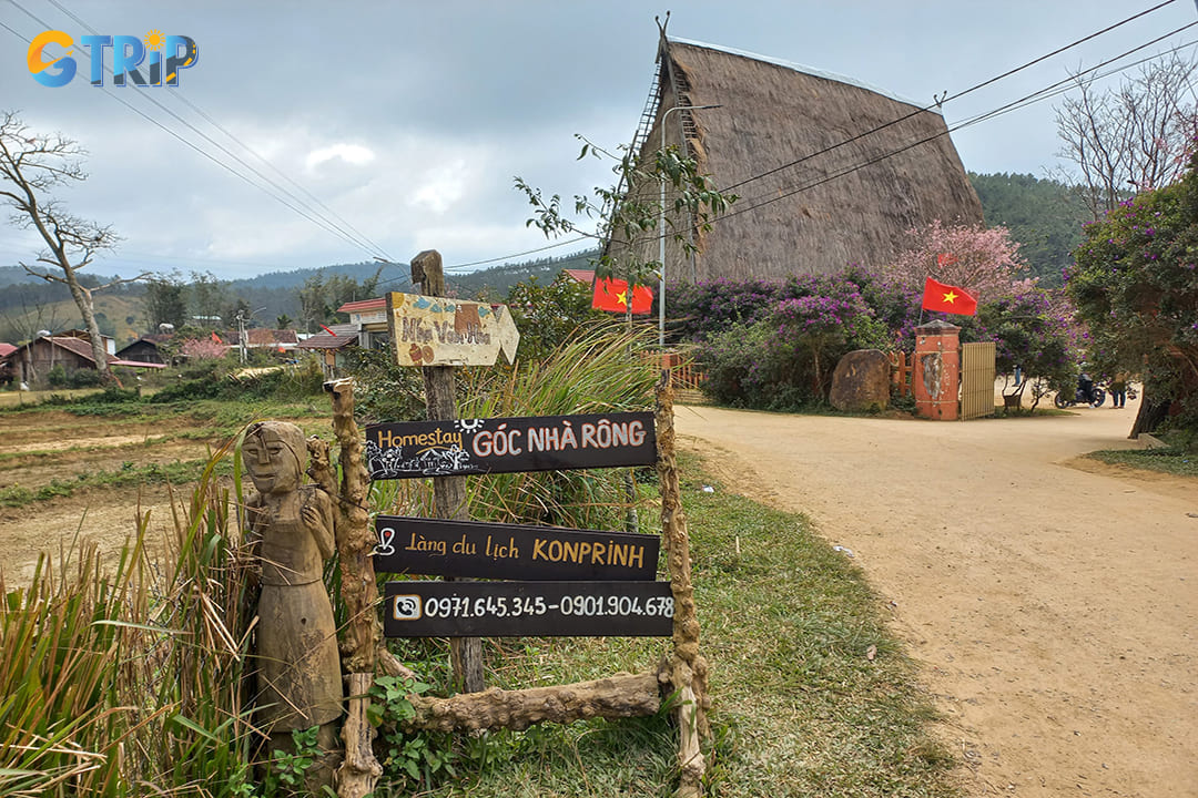 The M'Nam people are an integral branch of the Sedang ethnic group, recognized for their strong community bonds and vibrant cultural traditions