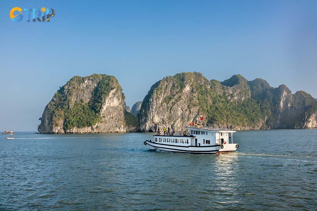 The most straightforward way to visit Cua Van is via cruise packages from Tuan Chau Harbor or Bai Chay Pier, offering guided tours, meals, and overnight stays