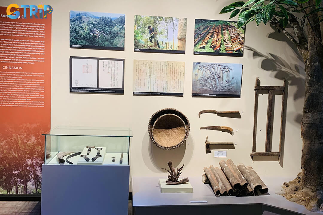 The museum also highlights how local goods were traded globally, detailing traditional practices, river transport routes, and Hoi An’s role in international commerce