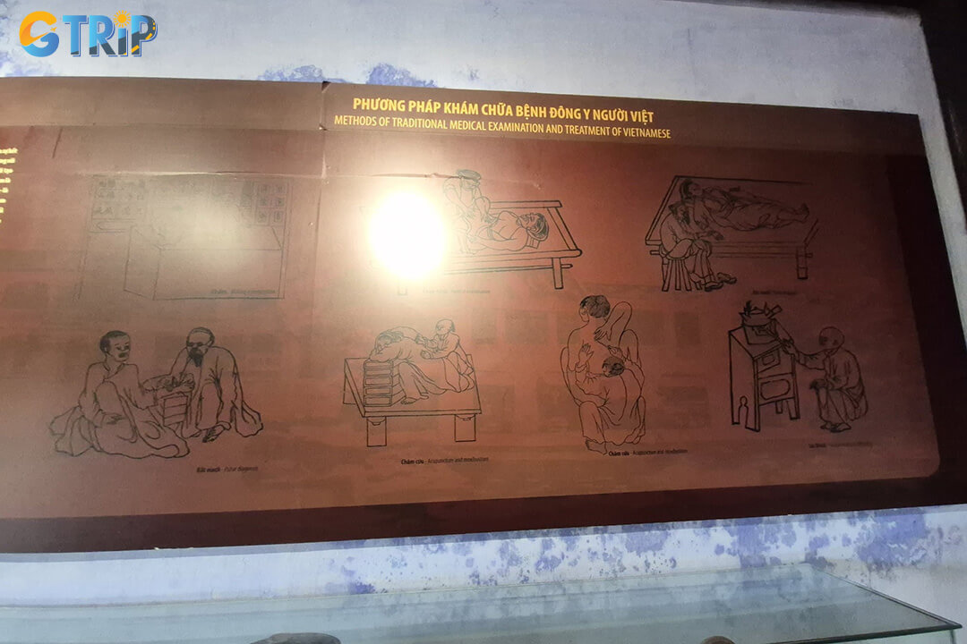 The museum also offers cultural programs that explore the spiritual traditions, ethics, and historical figures behind Vietnamese traditional medicine