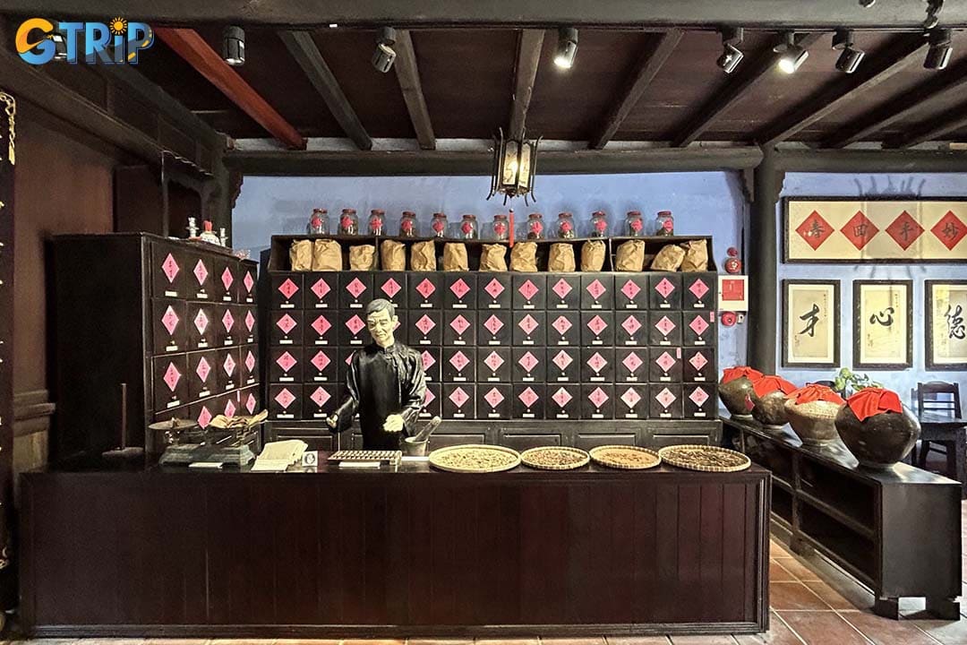 The Museum of Traditional Medicine explores the history of traditional healing practices and medicinal heritage in Vietnam