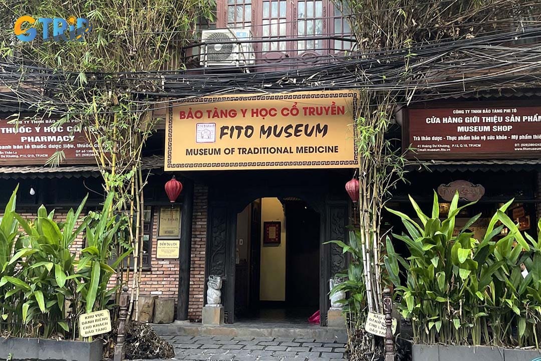 The Museum of Traditional Vietnamese Medicine, also known as the Fito Museum, showcases the legacy of traditional medicine