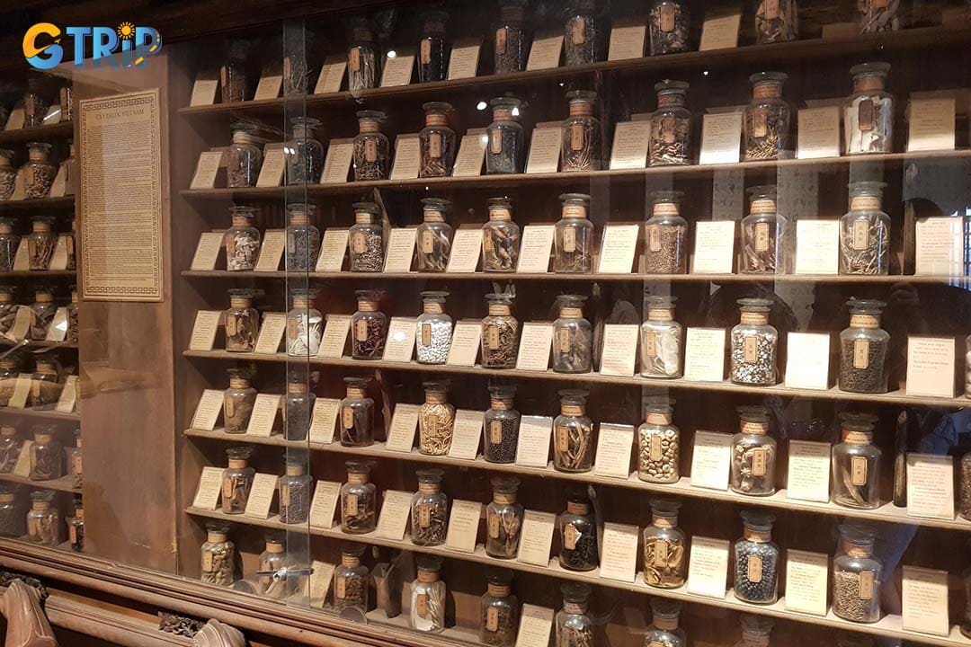 The Museum of Traditional Vietnamese Medicine (FITO Museum) showcases thousands of artifacts that reveal the rich history of traditional Vietnamese healing practices