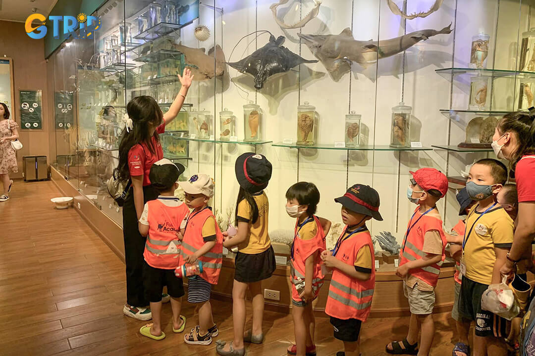 The museum offers interactive workshops, 3D/4D films, and multimedia displays that bring Vietnam’s natural history vividly to life for all ages