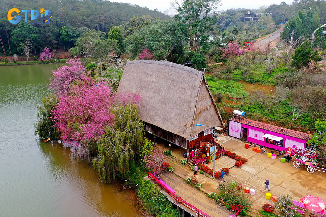 The optimal time to visit the lake is during the cherry blossom season, typically from January to February