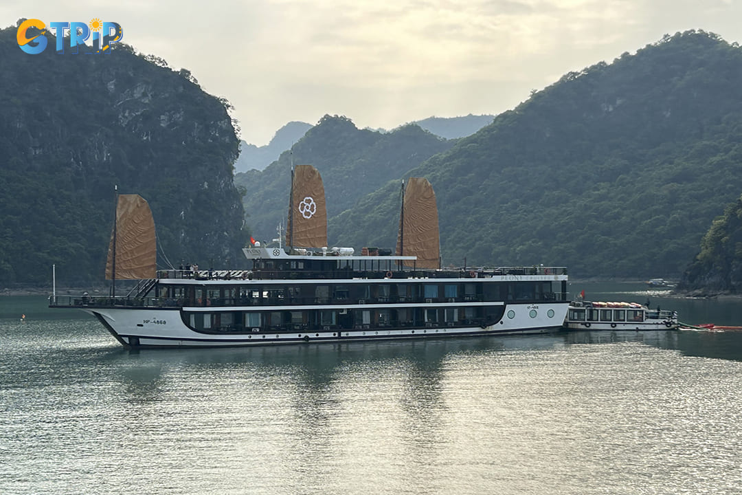 The overview of Peony Cruises Ha Long