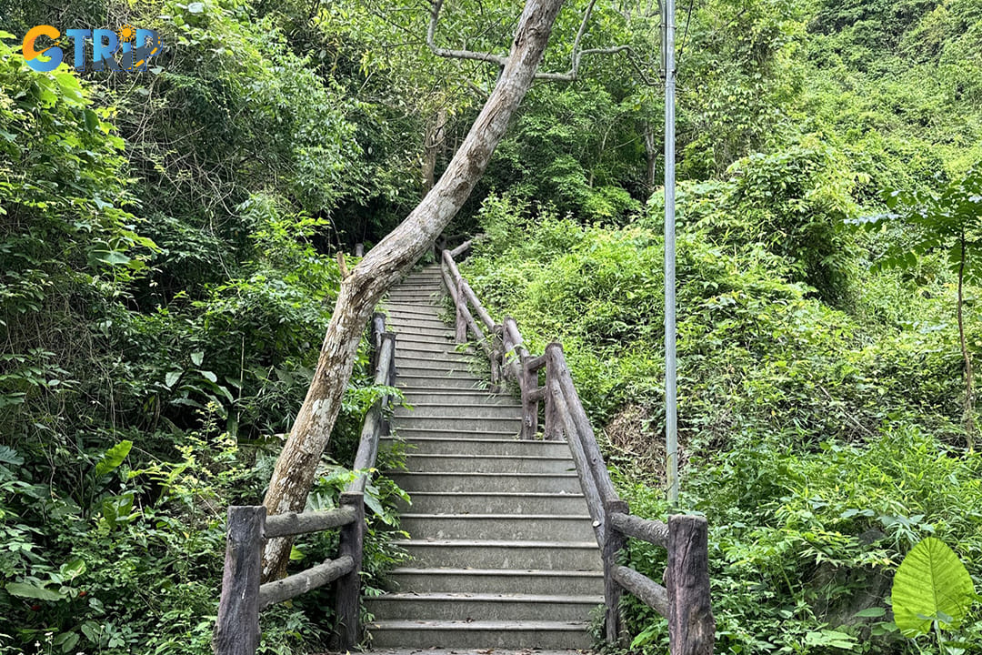 The pathways to the cave lined with vibrant plant life and the sounds of local wildlife