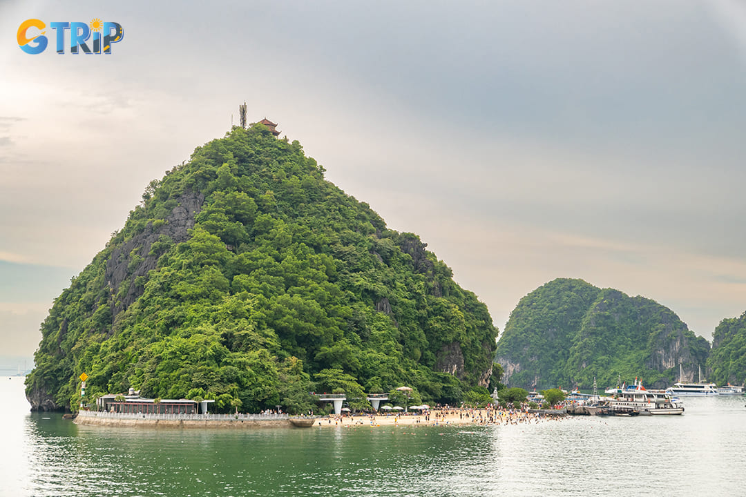 The peak of Ti Top Island offers a bird's-eye view of Ha Long Bay