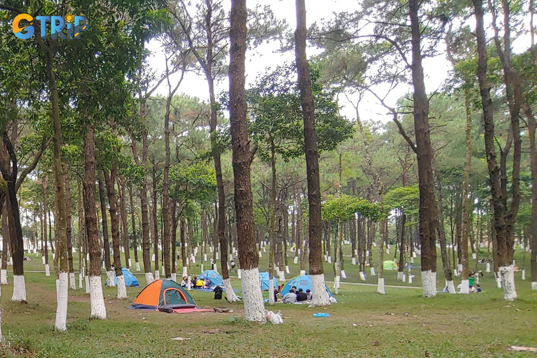 The park offers different rates for various visitor categories and provides additional services