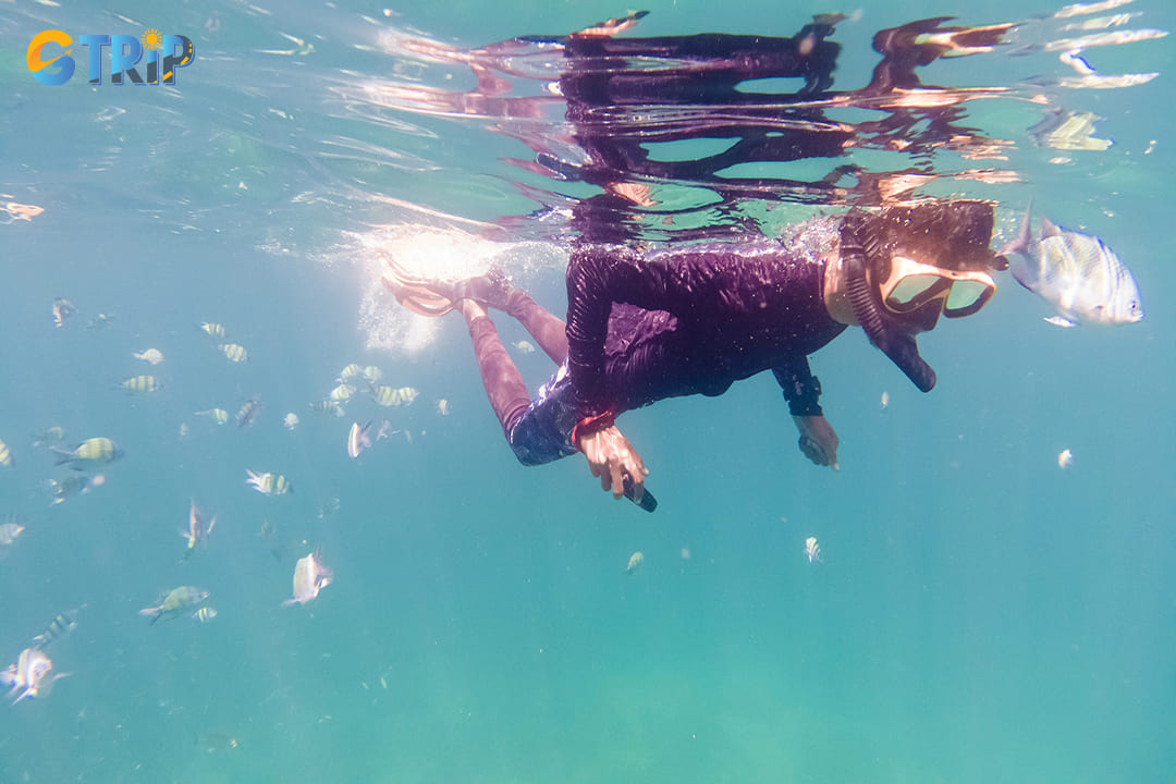 The rainy season offers unique advantages for snorkelers