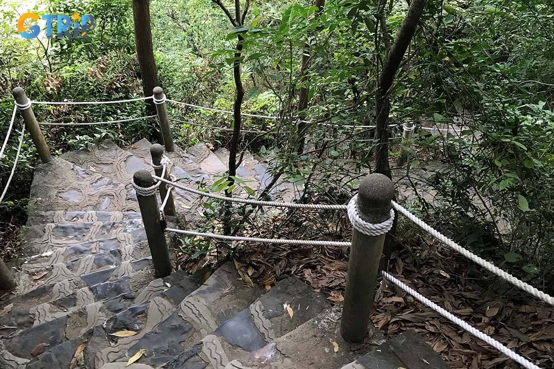 The road to the top of Ti Top Island is a bit small and steep, but the scenery on the top of the mountain is very beautiful