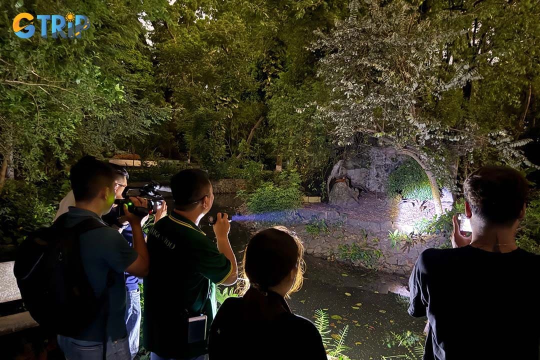 The Saigon Zoo Night Tour lets you explore the park after hours with an expert guide, revealing the mysterious world of nocturnal animals in a quiet, immersive atmosphere