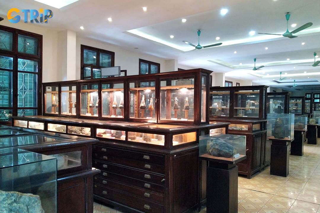 The second floor organizes Vietnam's geological story by region, allowing you to understand local variations across the country