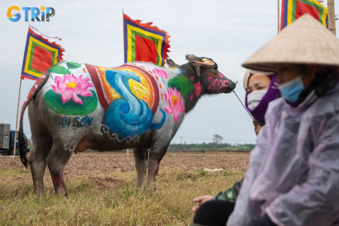 The spring buffalo painting contest features bright colors, conveying hopes and wishes for the New Year