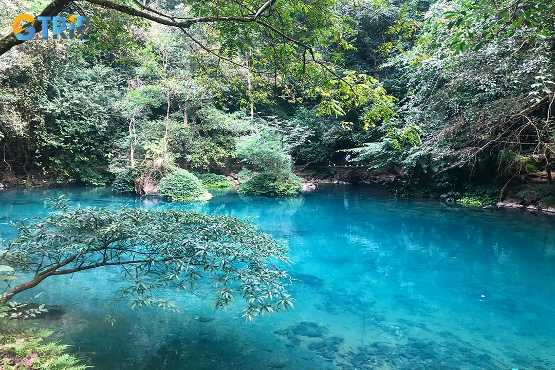The stream’s crystal-clear waters reflect the surrounding limestone cliffs and dense foliage, creating picture-perfect compositions