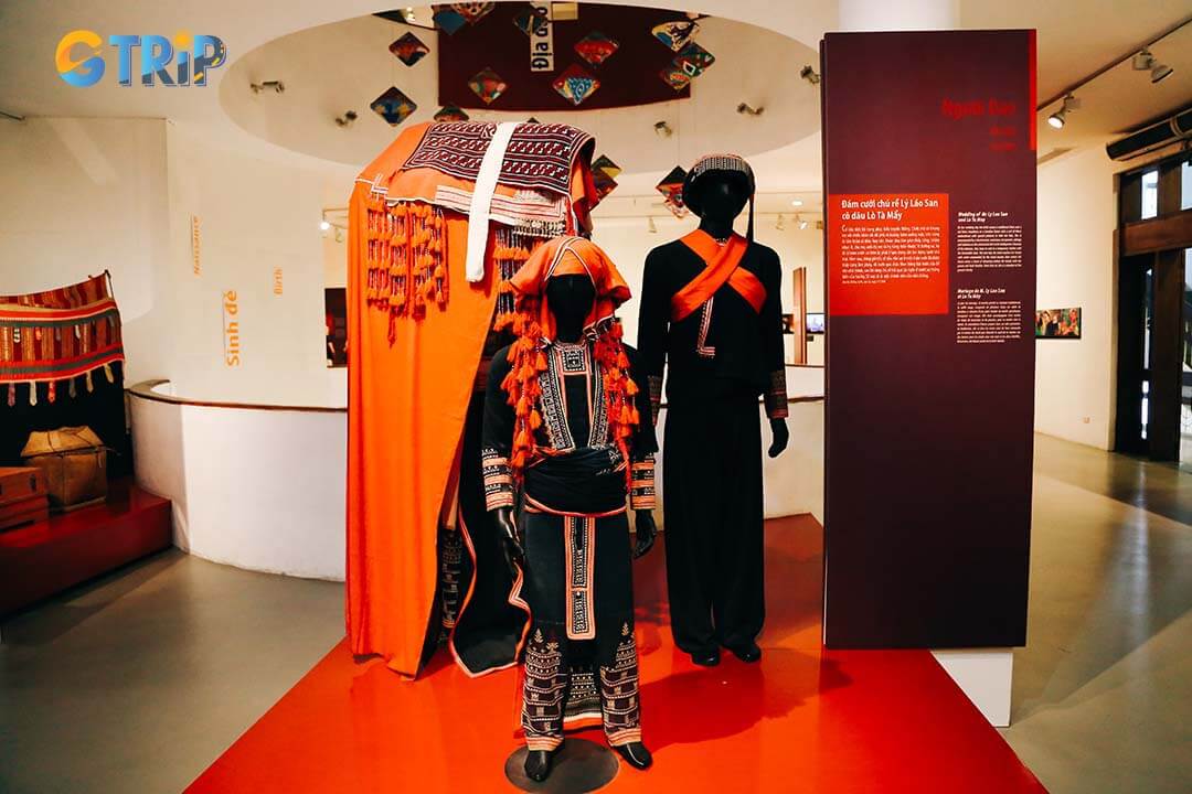 Public buses offer an affordable way to reach the museum, with several routes passing nearby, such as Route 08a, 09b, 31, 36, 45, and 49