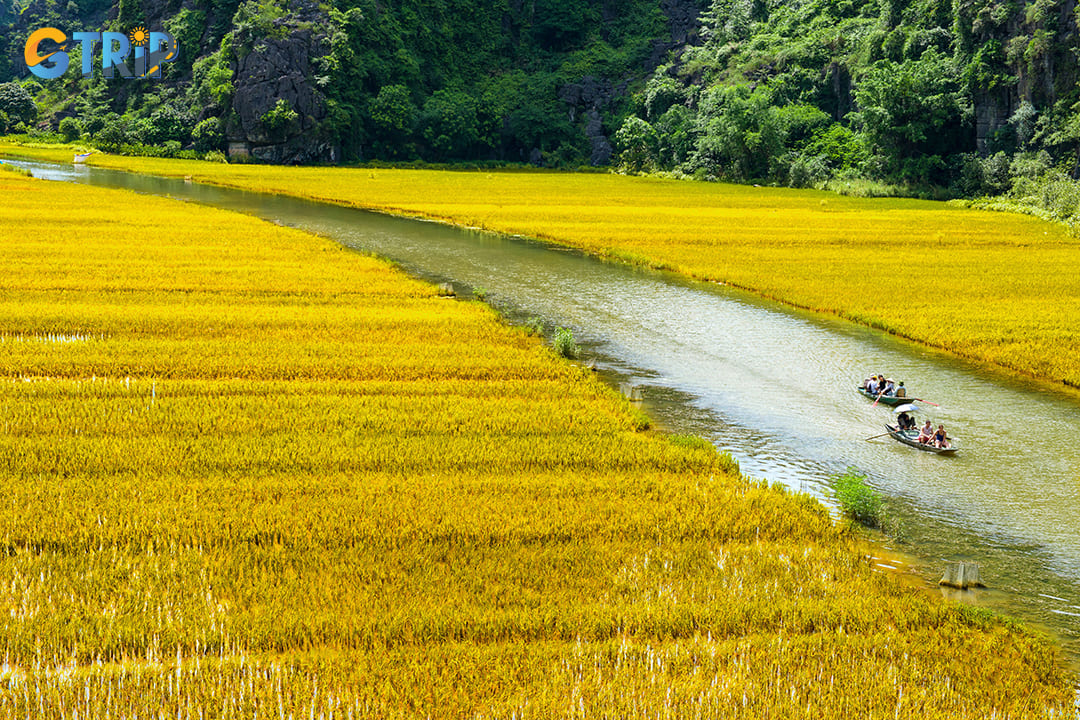 The tourists are traveling by boat in Ngo Dong River, Trang An