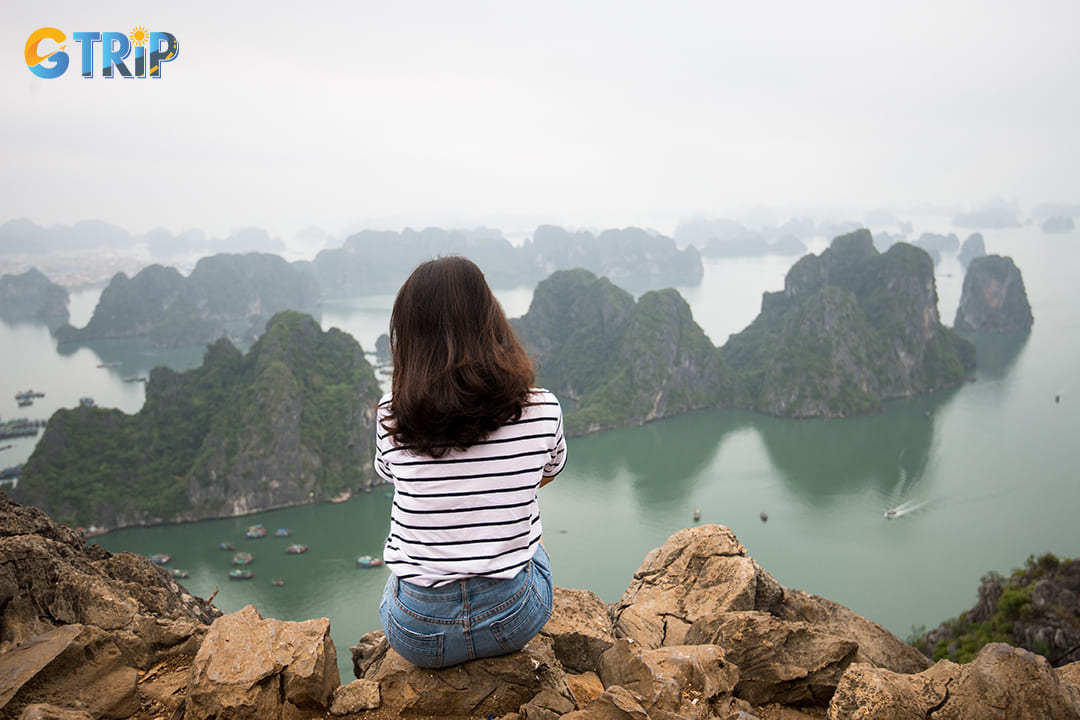 The trails lead to scenic viewpoints where you can capture breathtaking views of the bay's emerald waters