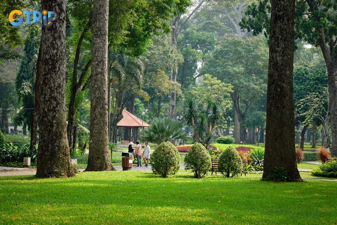 The true charm of Tao Dan Park lies in its lush natural beauty, with over 1,000 ancient trees lining its shaded pathways and creating a cool, tranquil haven