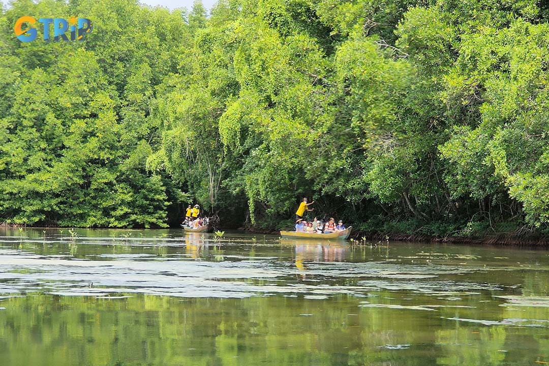 The Vam Sat Ecotourism Area sits at the core of the Can Gio Mangrove Biosphere Reserve and offers some of the region’s most immersive nature experiences