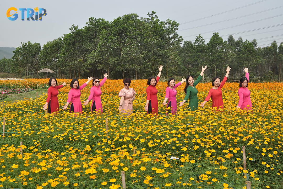 The vibrant blossoms atmosphere creates an ideal backdrop for photography