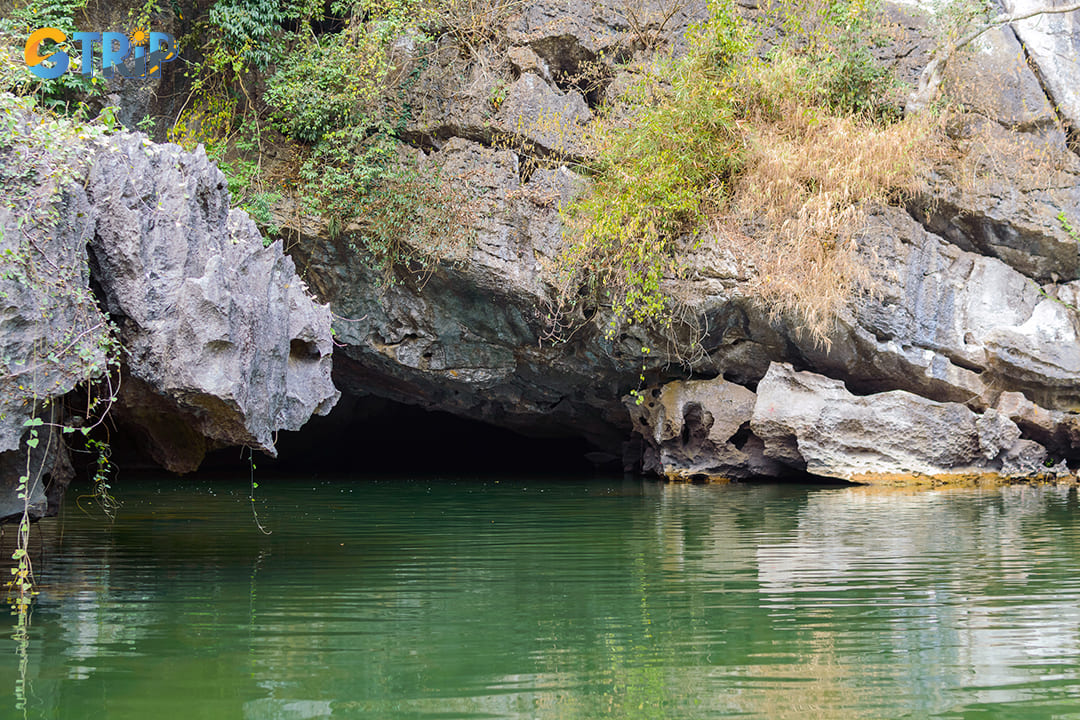 The vibrant greenery surrounding the caves contrasts beautifully with the karst formations
