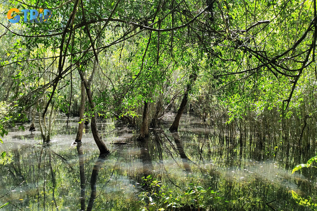 The weather between September and April is typically mild and dry