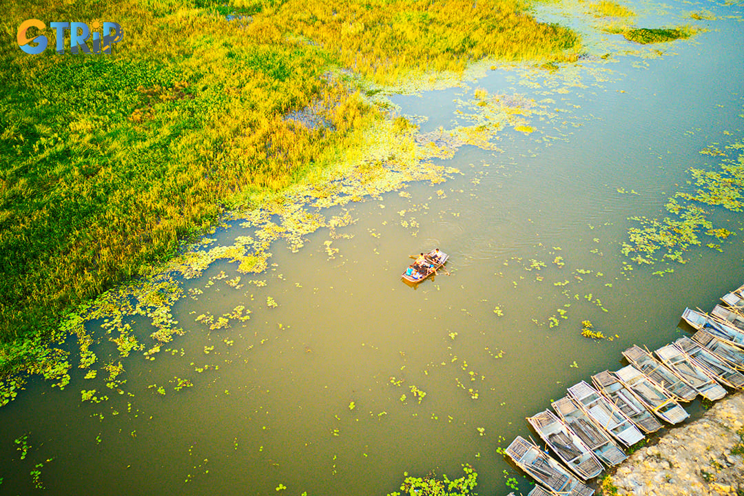 The wetlands come alive during the rainy season in July