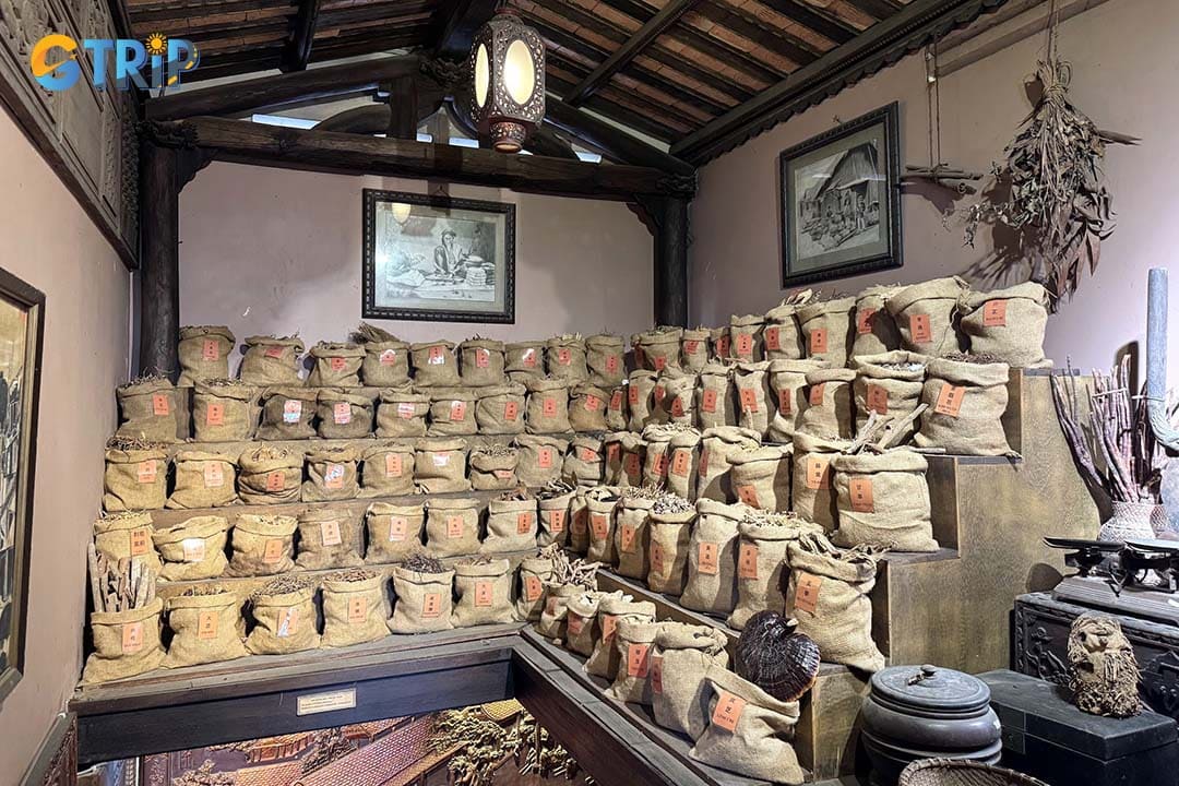 This library explores the intertwined histories of Chinese, Vietnamese, Korean, and Japanese traditional medicine