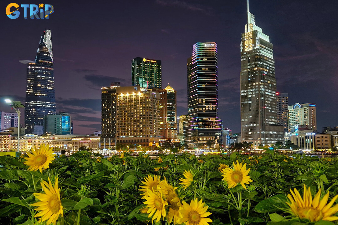 Thu Thiem Park, located along the Saigon River opposite District 1, is a spacious riverside retreat where visitors can relax, fly kites, and enjoy street food