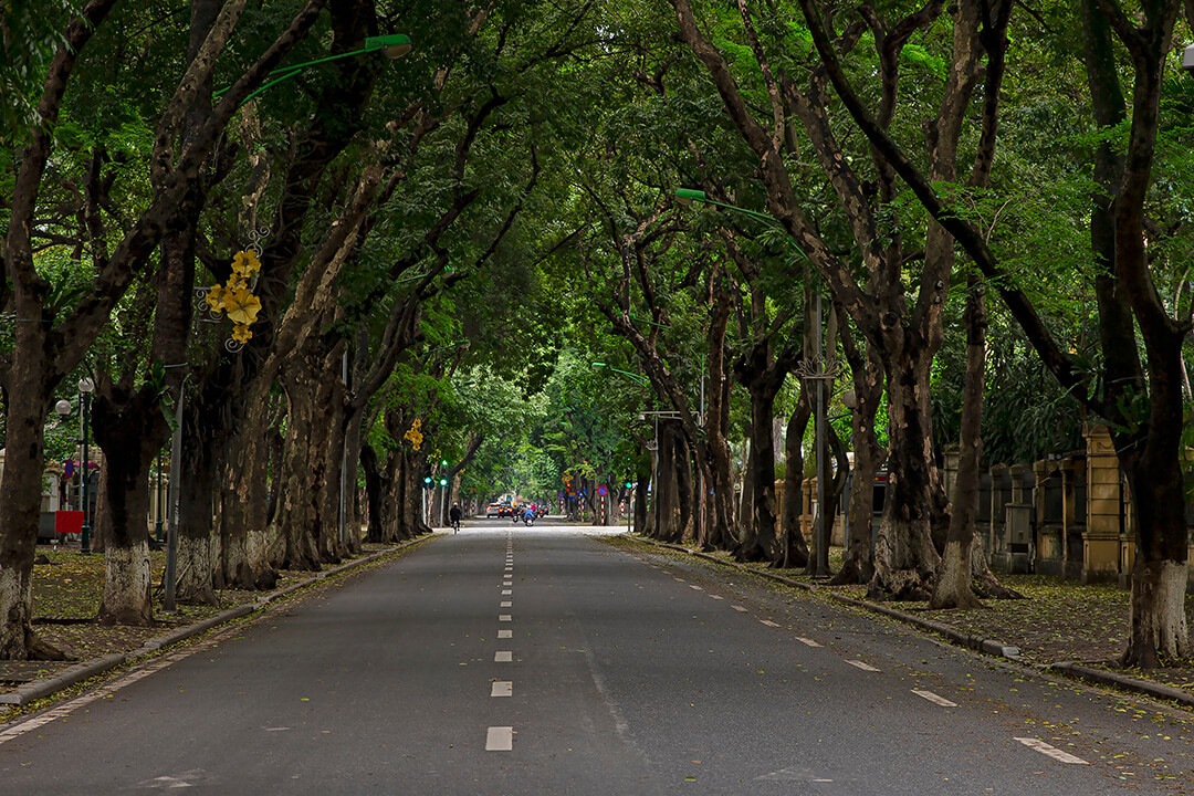Phan Dinh Phung Street: Most Beautiful & Romantic Road in Hanoi