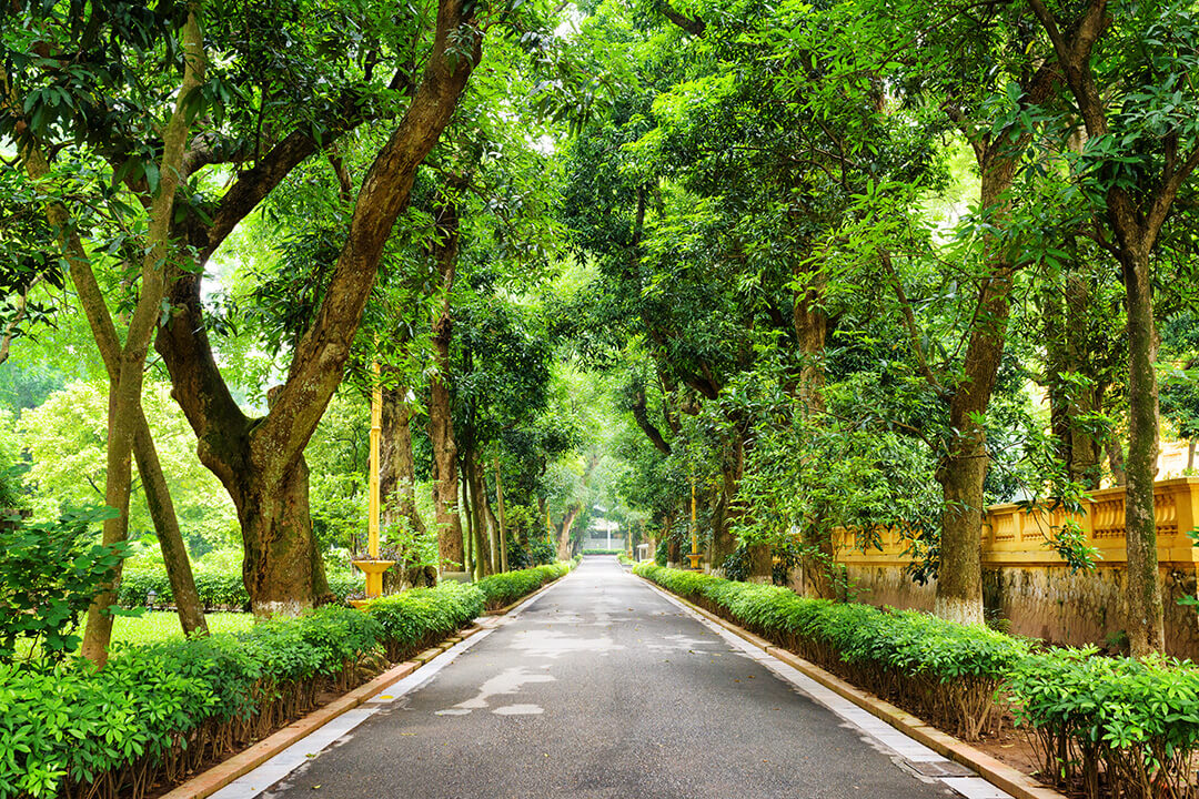 Hanoi Botanical Garden (Bach Thao Park): Green-Lung in Hanoi