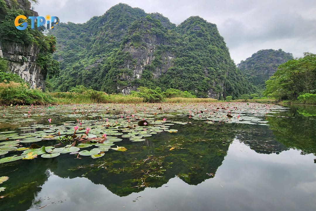 Lotus ponds inside Thung Nang and historical values ​​create the characteristics of this place