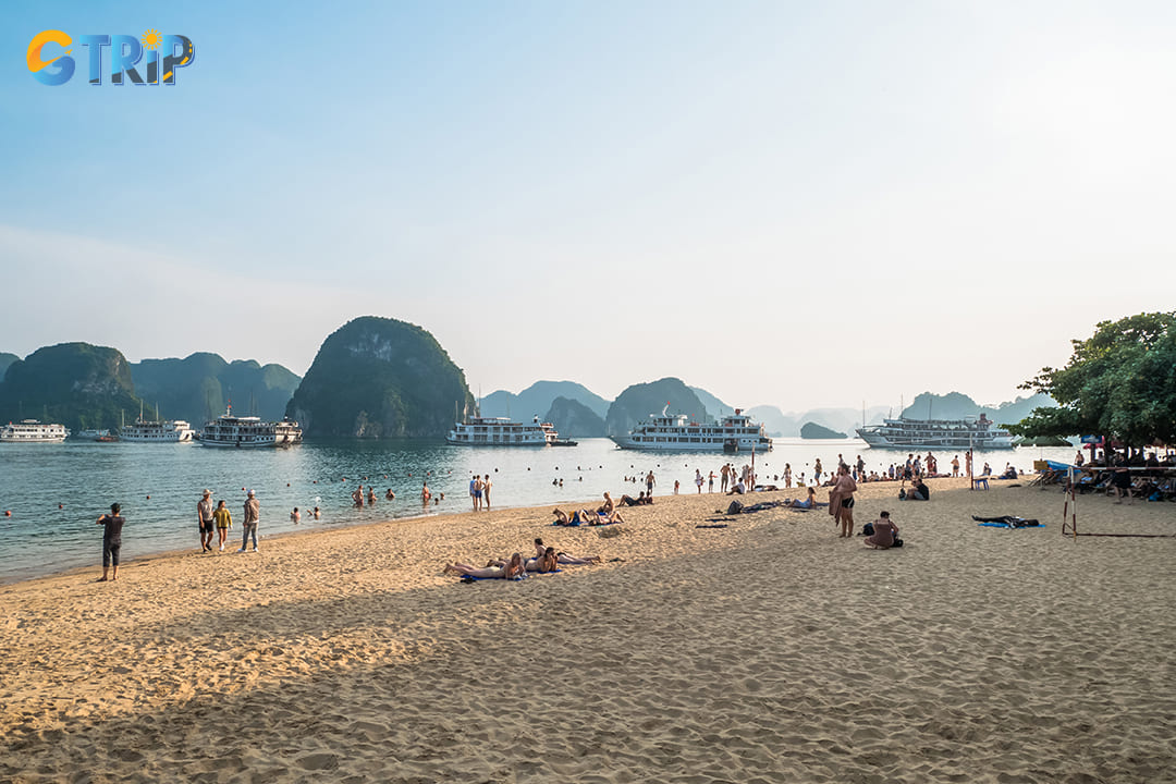 Ti Top Island is a picturesque destination known for its crescent-shaped beach and panoramic views of Ha Long Bay