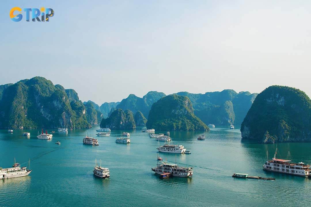 There are many cruise ships on Ha Long Bay close to Ti Top Island