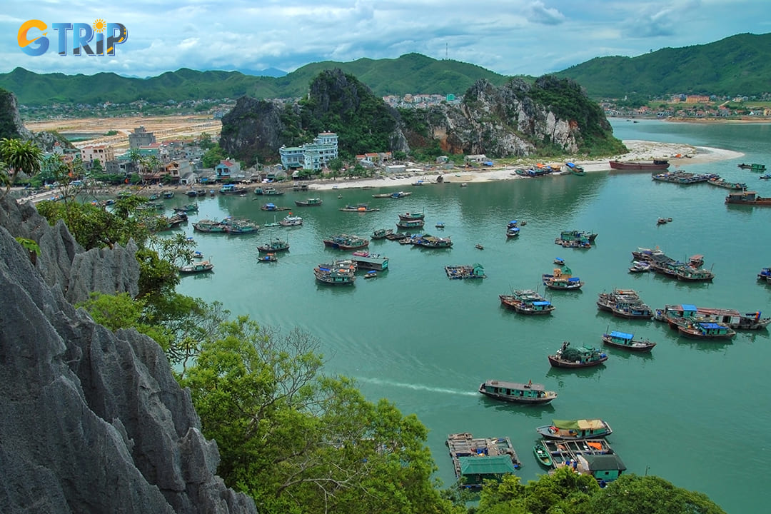 To get to Tra Ngo Island, you can take a boat from either Ao Tien Port or Cai Rong Port