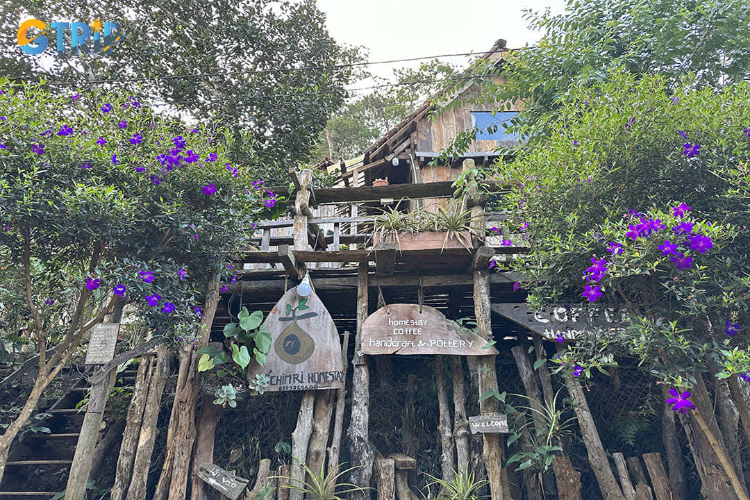ToChimRi Homestay is a popular choice for travelers seeking an authentic cultural experience in the heart of the Mang Den plateau